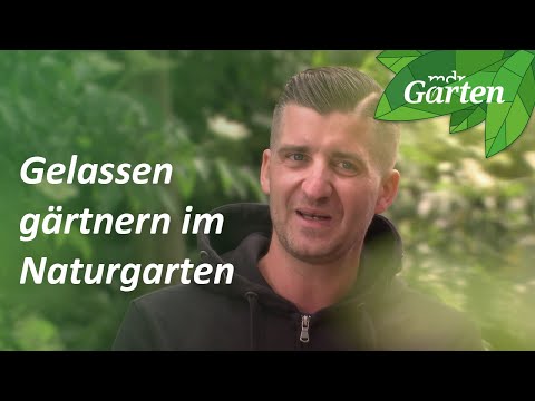 Ein Naturgarten im Erzgebirge | MDR Garten