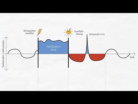 Krankheit ist anders - Die 2 Phasen eines SBS (Teil 5)