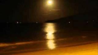 BETH CARVALHO - "Andança"