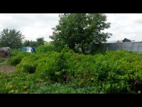 Vand casa in Ograda , Ialomita