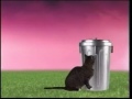PBS Kids Spot Curiosity Killed The Cat HQ
