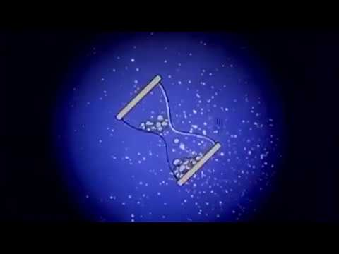 White trash BORING - Douăzecila% (Official Video)