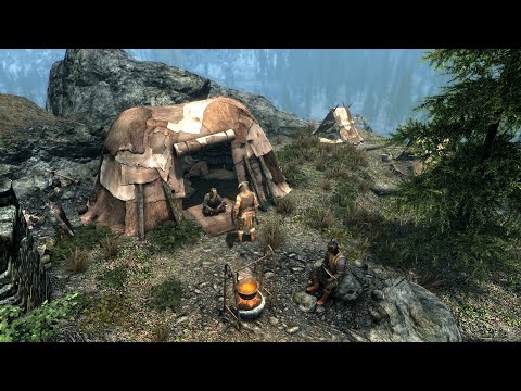 The Khajiit And The Nord: Why Skyrim?