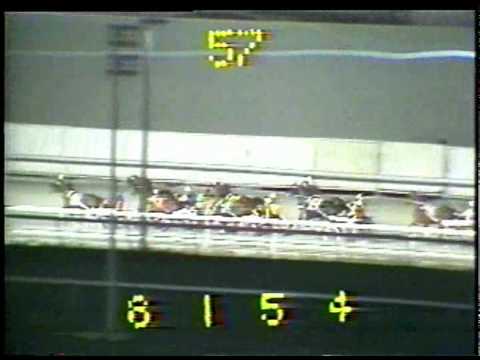 1979 Meadowlands Pace - Sonsam & George Sholty