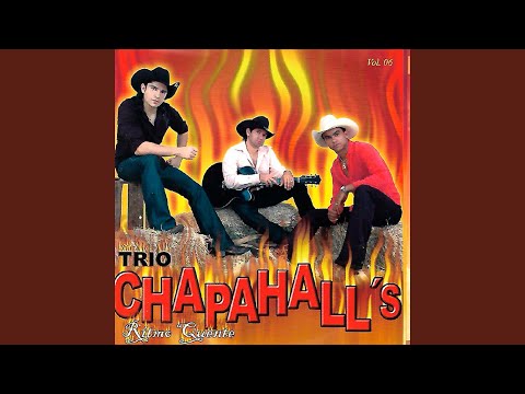 Moda Do Celular - Trio Chapahalls