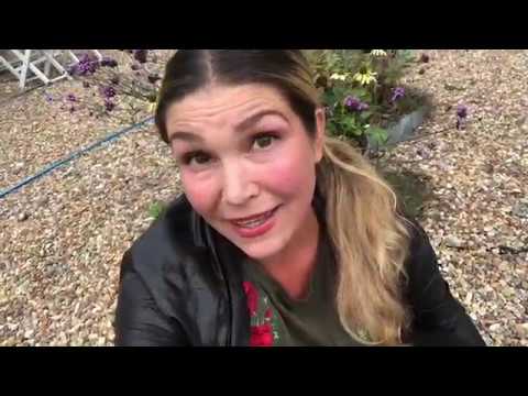 Plantera Vårblommande Lökar I Kruka Eller Rabatt 5 Knep