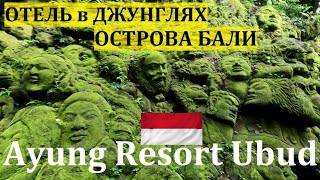 Ayung Resort Ubud / Affordable Hotel in the Heart of Bali