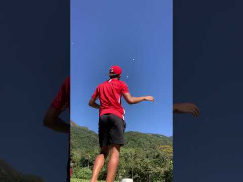 Relo lindo #shorts #shortsvideo #pipa