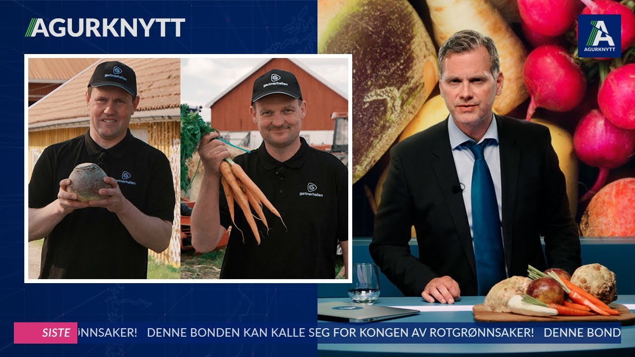 Denne bonden kan kalle seg for kongen av rotgrønnsaker!
