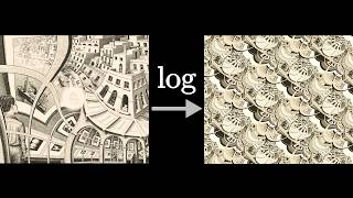 This picture broke my brain