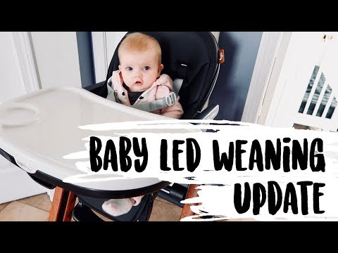 IS WILLA EATING TABLE FOOD? || BABY LED WEANING UPDATE
