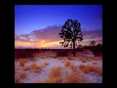 BT feat. Jan Johnston vs. Steve Allen & Mr Careful - Remember The Conduit (WTF Mashup)