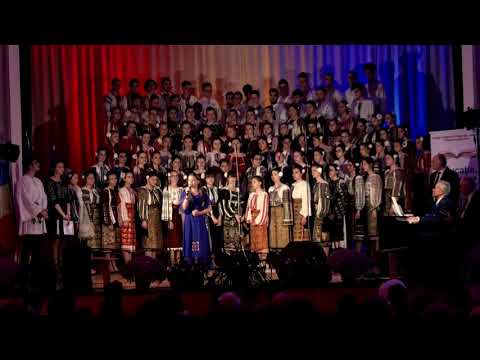 Mariuca Enache - E liniste in codrul verde (Taticul meu e la razboi) -  ( Cover -Paula Seling)