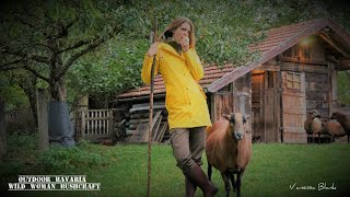 🐔🪚Alle Hände voll zu tun- Wintervorbereitung auf dem Selbstversorgerhof🍂🍄