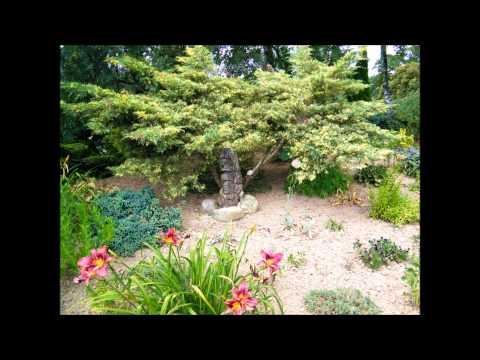 W jakim obcym domu (cover) marli