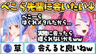 ぺこら先輩に会うのを活動の目標にしようとしてるヴィヴィちゃん【ホロライブ切り抜き/Hololive】#vtuber #兎田ぺこら #ぺこらマミー #綺々羅々ヴィヴィ #音乃瀬奏