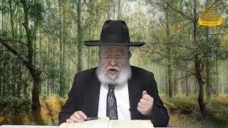 דף היומי בחצי שעה – בבא מציעא דף ס”ז
