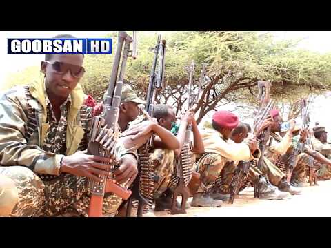 Saynab Xaaji Cali Baxsan : Guuleysta