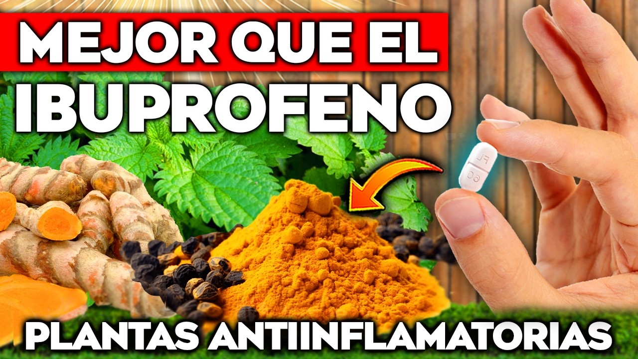 NO TOMES MÁS IBUPROFENO!! Las 5 PLANTAS ANTIINFLAMATORIAS y ANALGESICAS más POTENTES y NATURALES