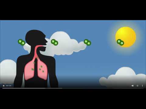 The Nitrogen Cycle Studyjams Science Scholastic