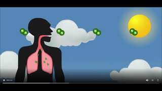 The Nitrogen Cycle  StudyJams! Science   Scholastic