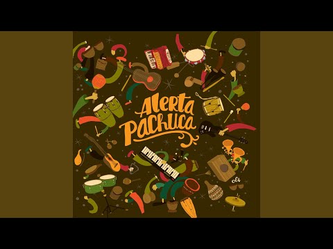 Welcome - Alerta Pachuca