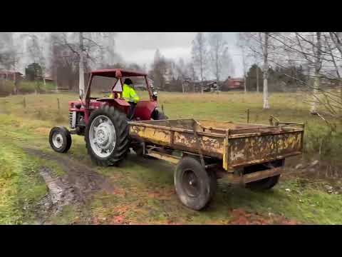 Videoklipp