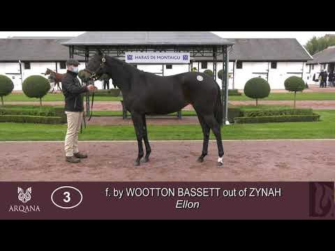 2020 October Yearling Sale - Lot 3 f. WOOTTON BASSETT x ZYNAH