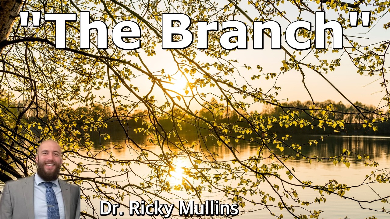 The Branch