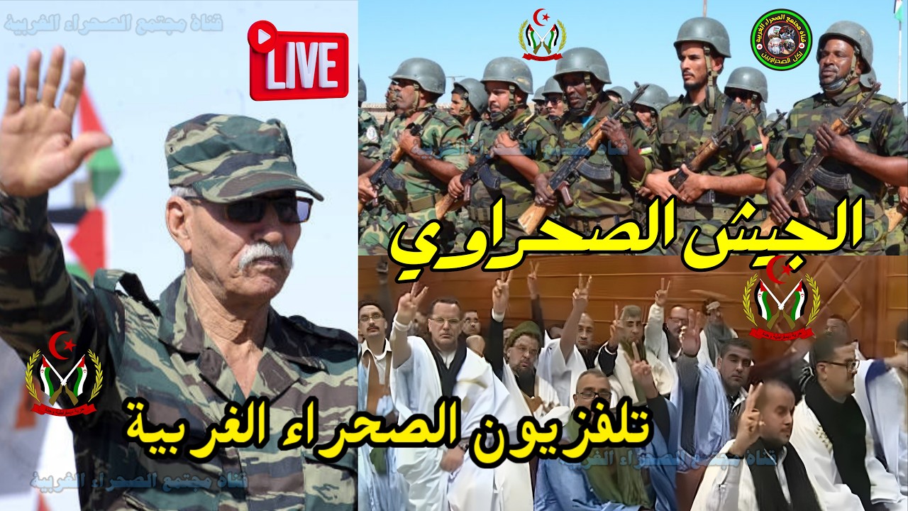 🔴 بث مباشر التلفزيون الوطني الصحراوي  ✌️🇪🇭👍 🔵حرية واستقلال 👍 #الصحراء