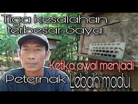 , title : 'Tiga kesalahan fatal peternak lebah madu/apis cerana (pemula)beserta solusinya'