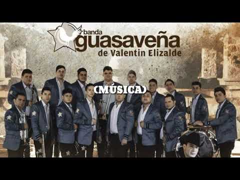 BANDA GUASAVEÑA DE VALENTÍN ELIZALDE - ME DIERON GANAS DE TOMAR (LETRA)