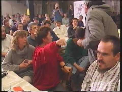 Helmut Palmer: Der erfolglose Kandidat