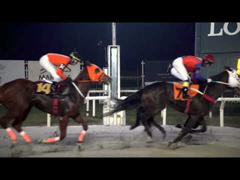 220619 c15 ALTO VUELO