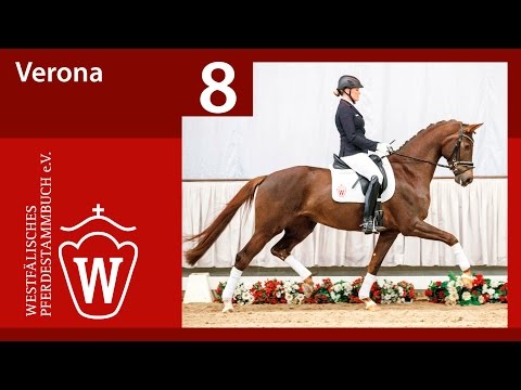 08 Verona Stute v. Vitalis - Arpeggio