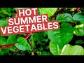 Summer Vegetables To Grow In Your Florida Vegetable Garden Beat The Heat In Your Summer Garden