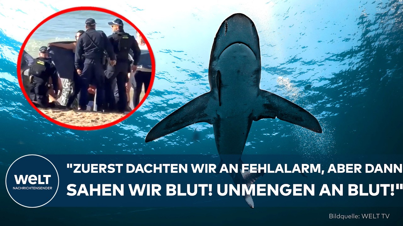 SYDNEY: Schockmoment am Coogee Beach! Rettungseinsatz nach schwerem Hai-Angriff auf Schwimmerin!