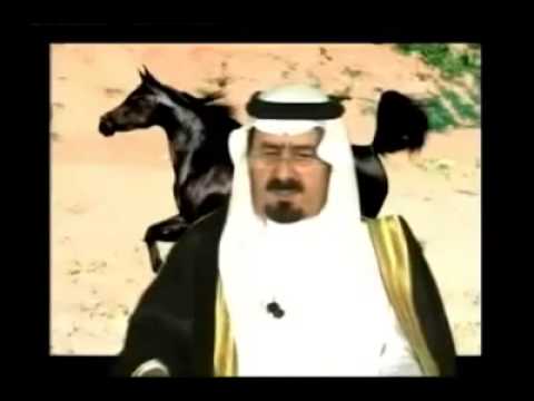 الامير فيصل بن سلمان بن سلطان يعلن تمدره على آل سعود