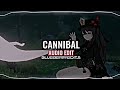 Cannibal - Kesha (Audio Edit)