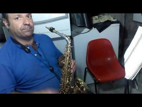 Hino 209 CCB sax alto no contralto