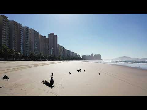 Imagem de Drone do Sobre As Ondas e Pitangueiras Guarujá