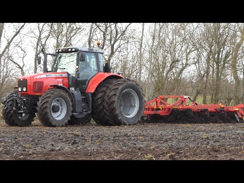 Massey Ferguson 6497 in the field Cultivating w/ 4-meter Väderstad Cultus 400 | Danish Agriculture