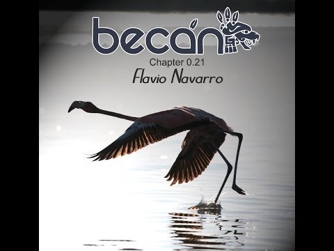 Chapter 0.21 - Flavio Navarro