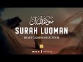 Heart melting recitation of Surah Luqman -  سورة لقمان | Zikrullah TV