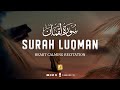 Heart Melting Recitation Of Surah Luqman سورة لقمان Zikrullah TV