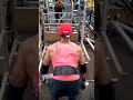 Bent over rows