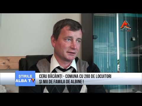 CERU BÂCÂINȚI   COMUNA CU 280 DE LOCUITORI ȘI MII DE FAMILII DE ALBINE !