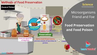 Microorganisms Friend and Foe Class 8 Science - Food Preservation and Food Poison