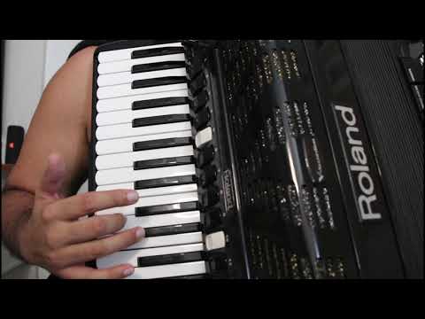 Biquíni Bordô - Trio Parada Dura