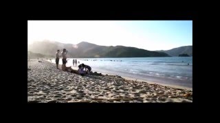 Herb Alpert Route 101